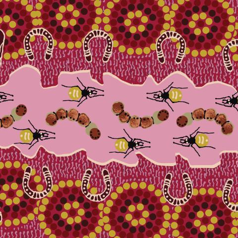 Gathering Bush Food Pink by Marie Ellis - Click Image to Close